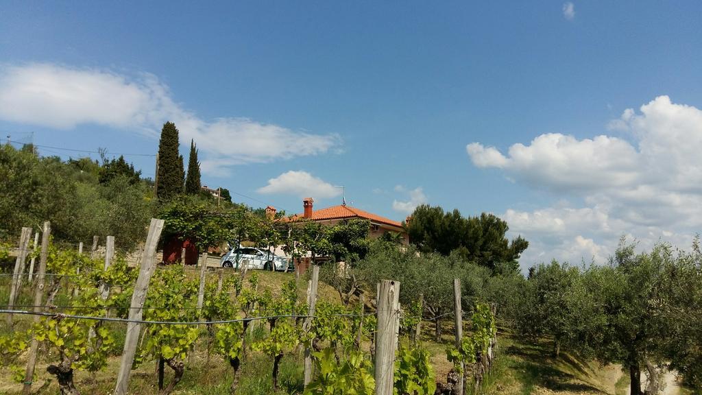 Mejak & Bordon Villa Secovlje Luaran gambar