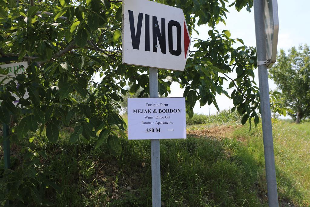 Mejak & Bordon Villa Secovlje Luaran gambar
