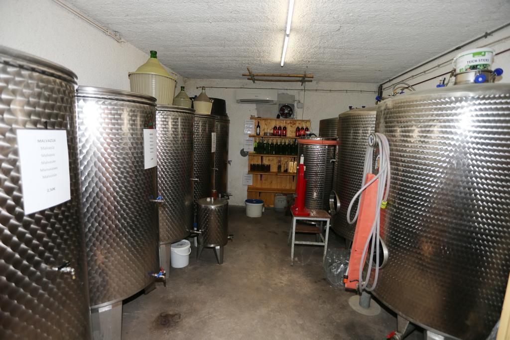 Mejak & Bordon Villa Secovlje Luaran gambar
