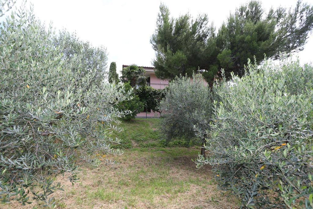 Mejak & Bordon Villa Secovlje Luaran gambar
