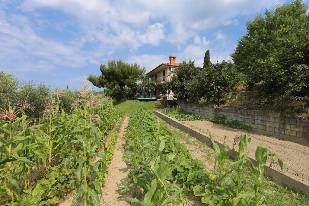 Mejak & Bordon Villa Secovlje Luaran gambar