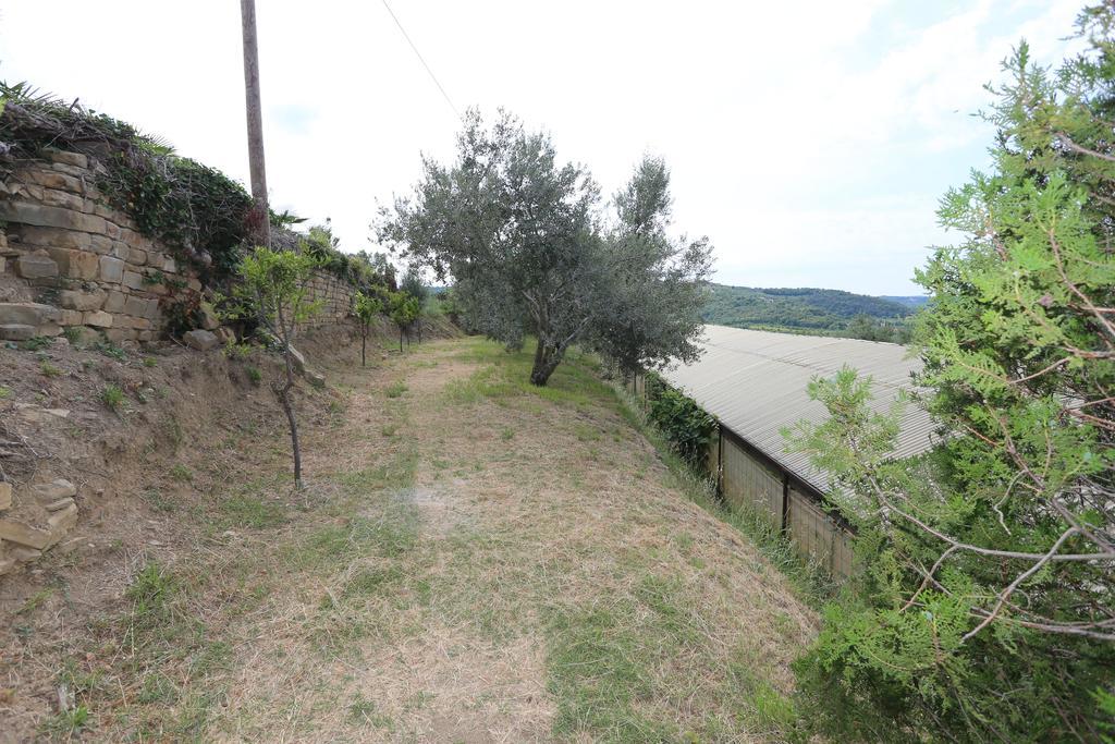 Mejak & Bordon Villa Secovlje Luaran gambar