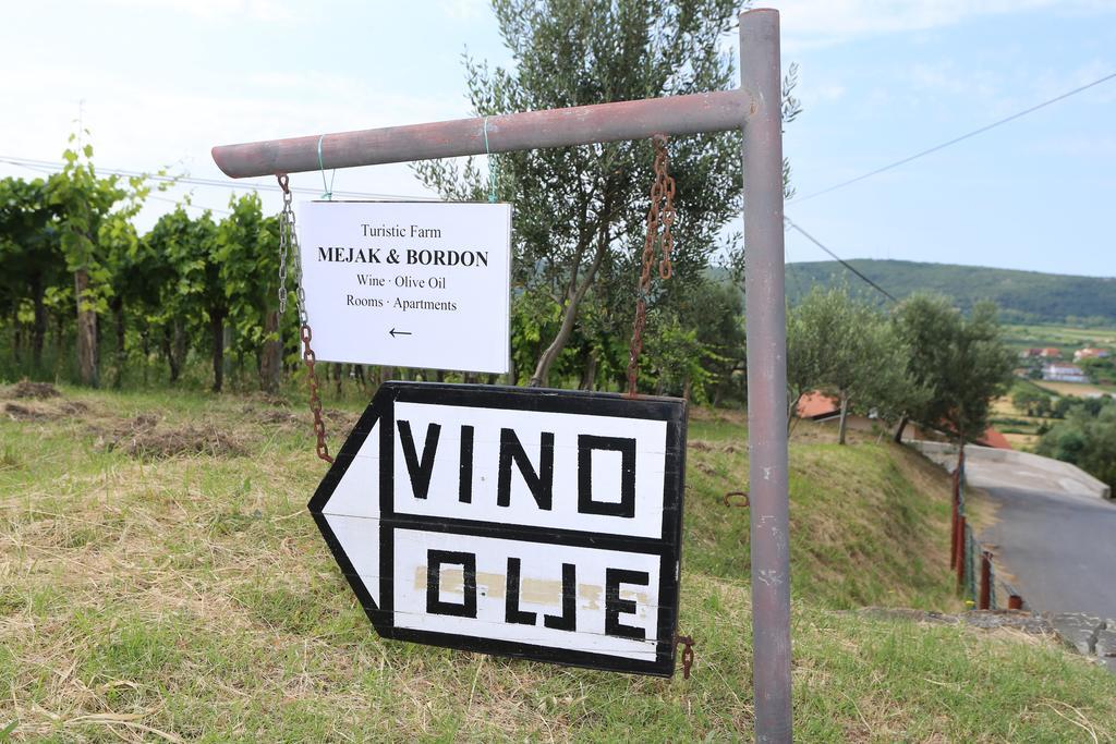 Mejak & Bordon Villa Secovlje Luaran gambar