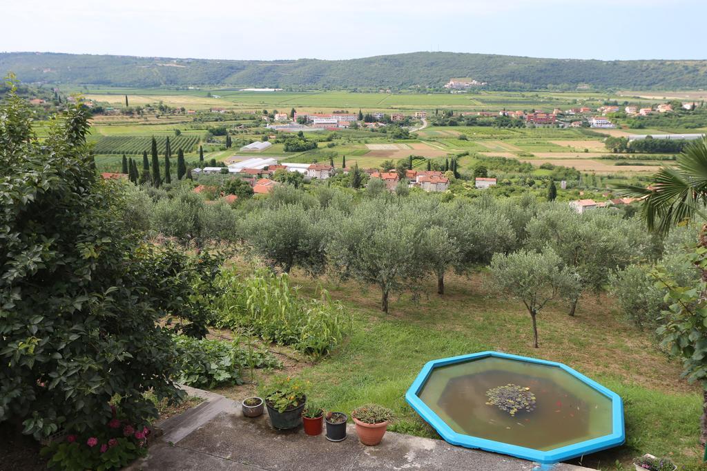 Mejak & Bordon Villa Secovlje Luaran gambar
